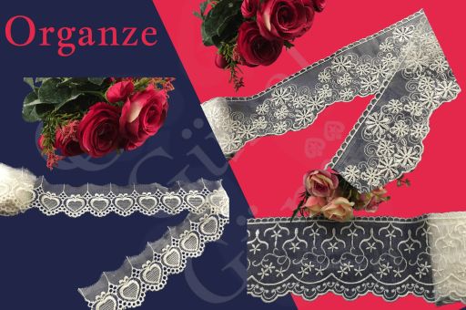 ORGANZE